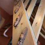Dogfriendly, Grand Jardin Clos, 4 Chambres, Grand Salon Avec Cheminée - Larès Casa vacanze