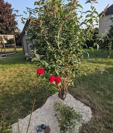 Dogfriendly, Grand Jardin Clos, 4 Chambres, Grand Salon Avec Cheminee