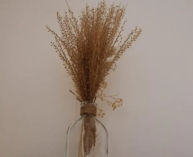 Dogfriendly, Grand Jardin Clos, 4 Chambres, Grand Salon Avec Cheminee Σπίτι διακοπών Saint-Samson